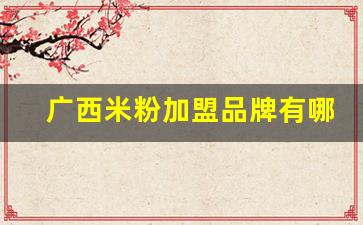 广西米粉加盟品牌有哪些(广西米粉加盟品牌有哪些好)